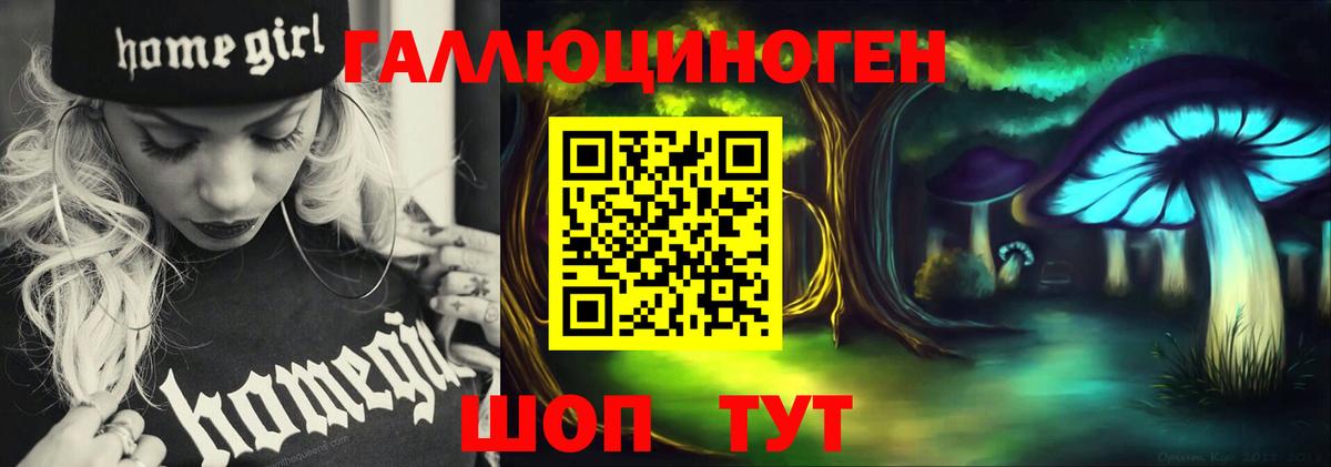 Галлюциногенные грибы Magic Shrooms  Псилоцибиновые грибы прущие грибы  Звенигород  Вход с VPN 