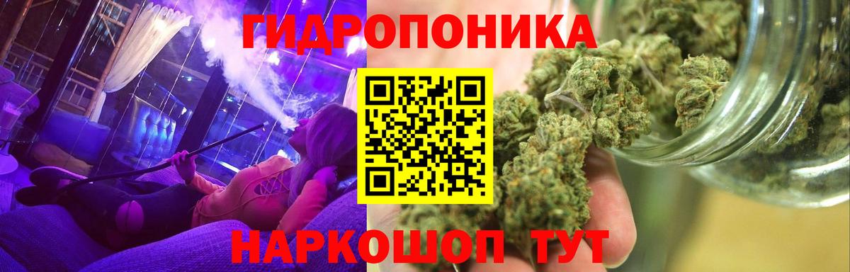 Конопля Ganja Звенигород